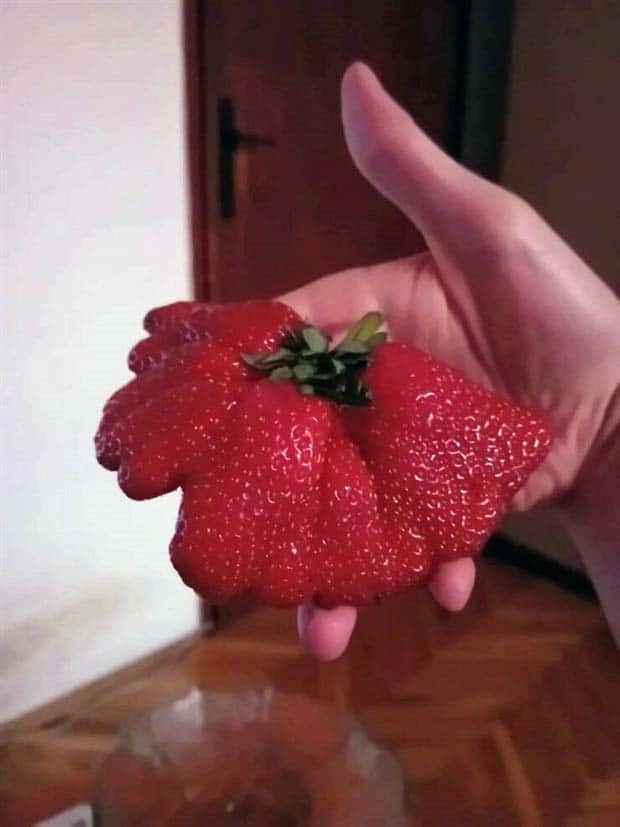 Klyker Picdump #1489 (44 photos)