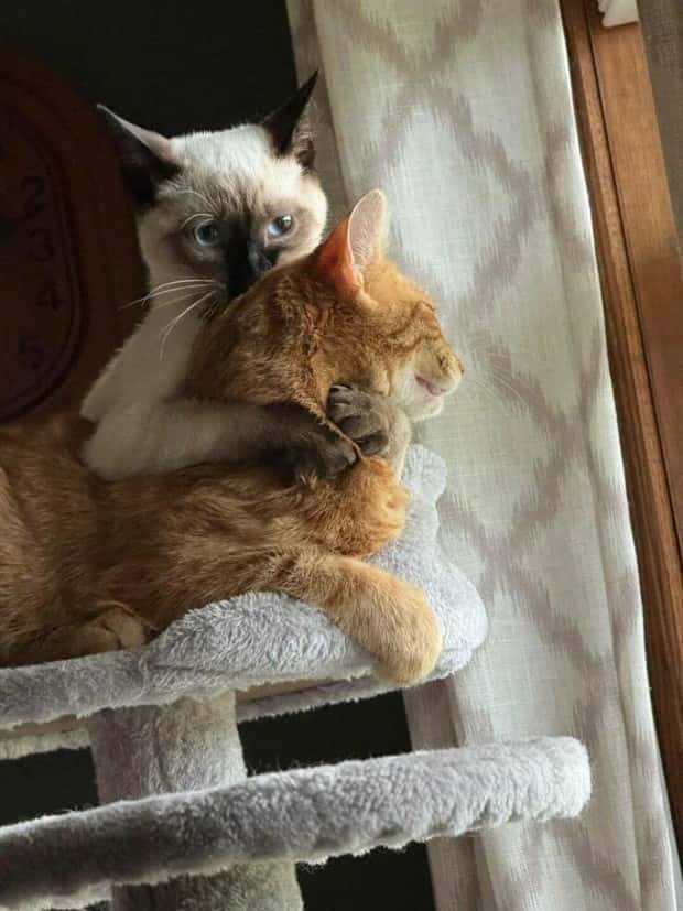 Klyker Picdump #1489 (44 photos)