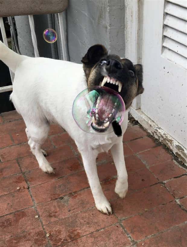 Klyker Picdump #1490 (45 photos)