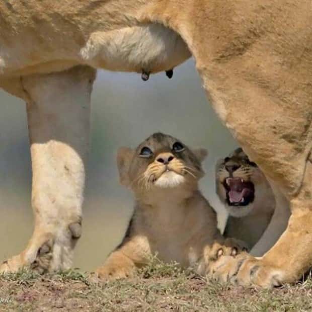 Klyker Picdump #1490 (45 photos)