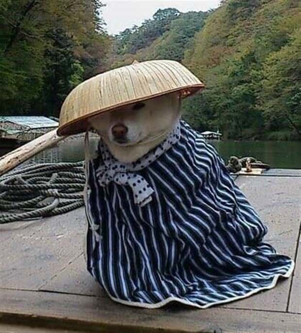 Klyker Picdump #1490 (45 photos)