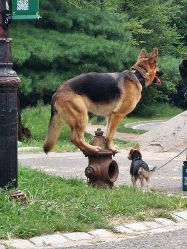 Klyker Picdump #1490 (45 photos)