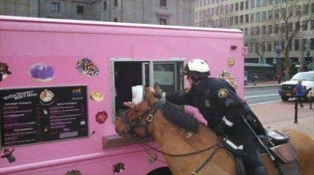 Klyker Picdump #1492 (42 photos)