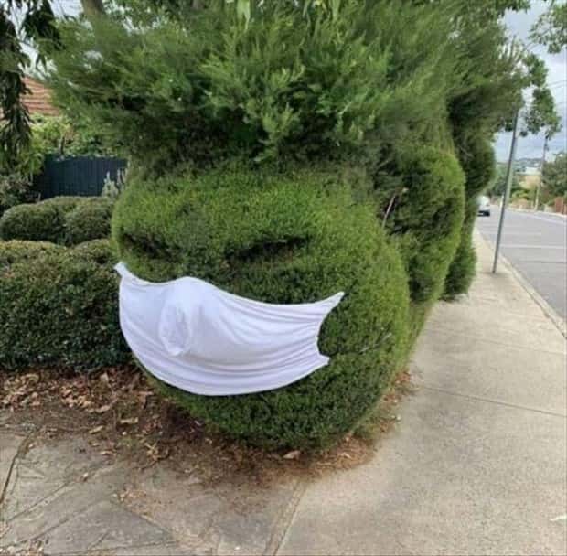 Klyker Picdump #1492 (42 photos)