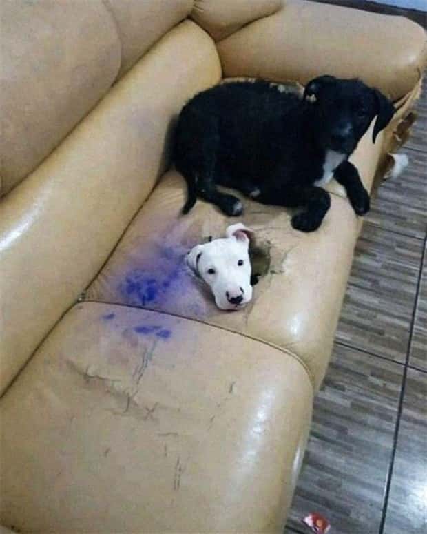 Klyker Picdump #1492 (42 photos)