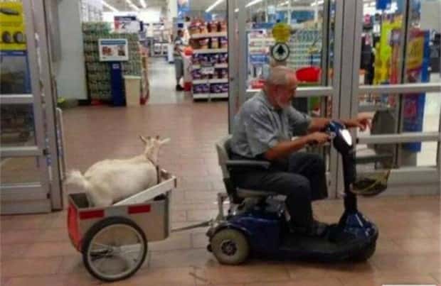 Klyker Picdump #1492 (42 photos)