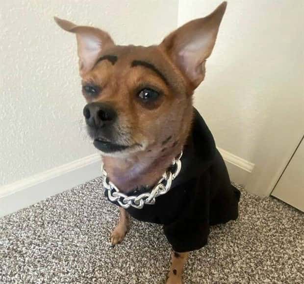 Klyker Picdump #1493 (43 photos)