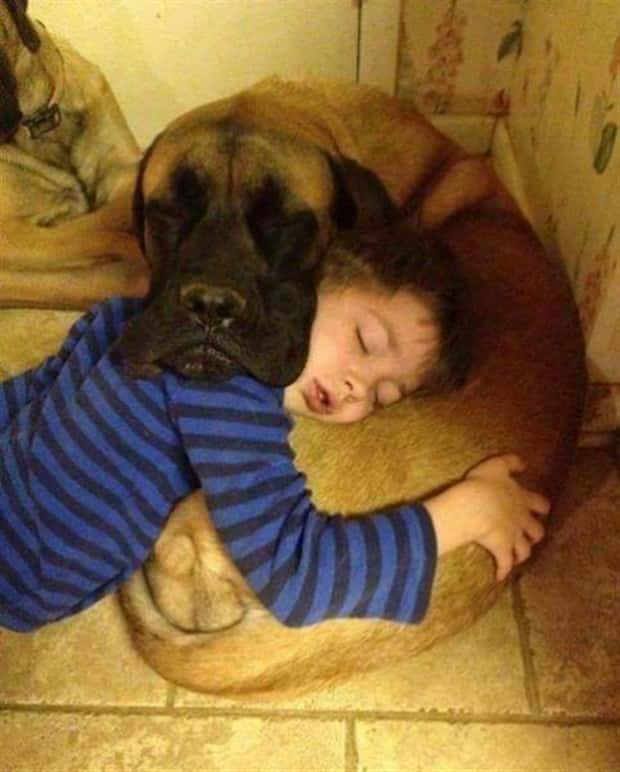 Klyker Picdump #1493 (43 photos)