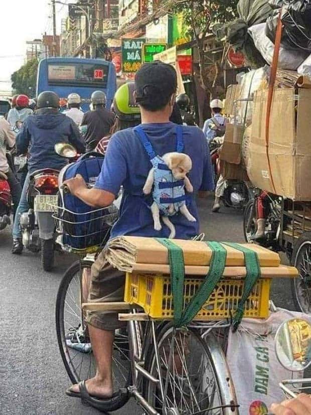 Klyker Picdump #1493 (43 photos)