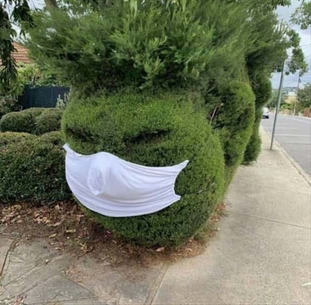 Klyker Picdump #1493 (43 photos)