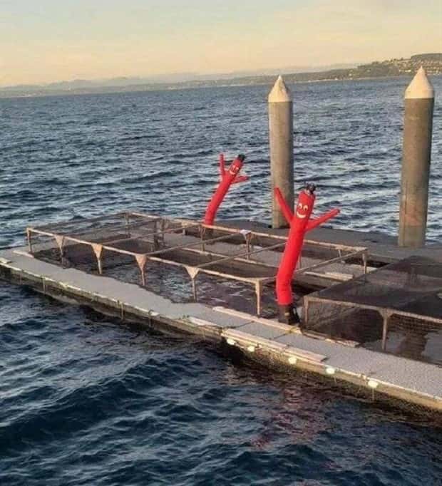 Klyker Picdump #1494 (44 photos)