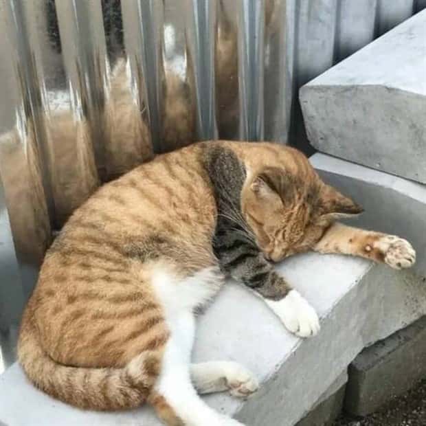 Klyker Picdump #1494 (44 photos)