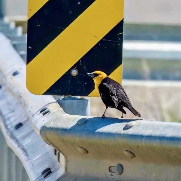 Klyker Picdump #1494 (44 photos)