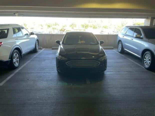 Klyker Picdump #1494 (44 photos)