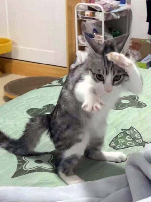 Klyker Picdump #1494 (44 photos)