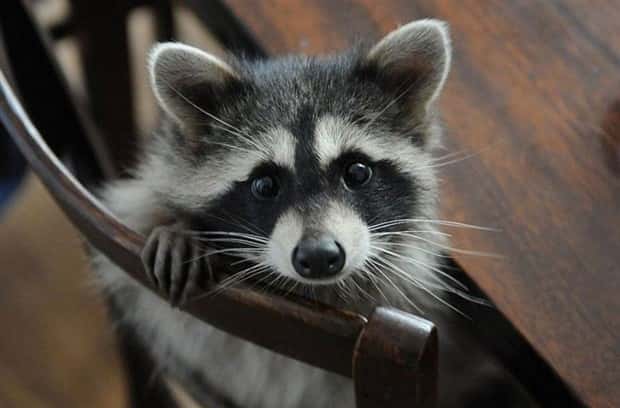 Klyker Picdump #1477 (42 photos)