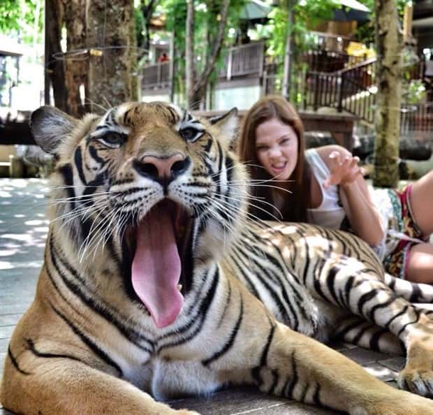 Klyker Picdump #1477 (42 photos)