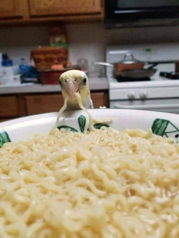 Klyker Picdump #1477 (42 photos)