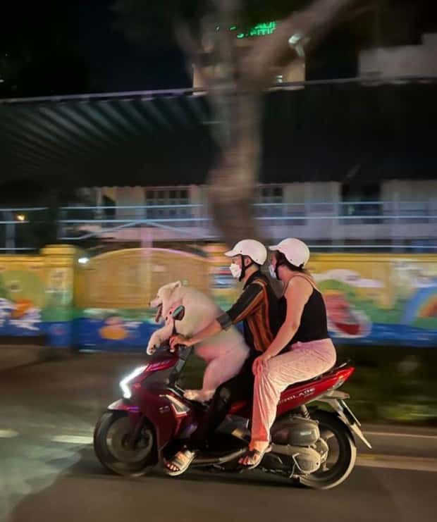 Klyker Picdump #1477 (42 photos)