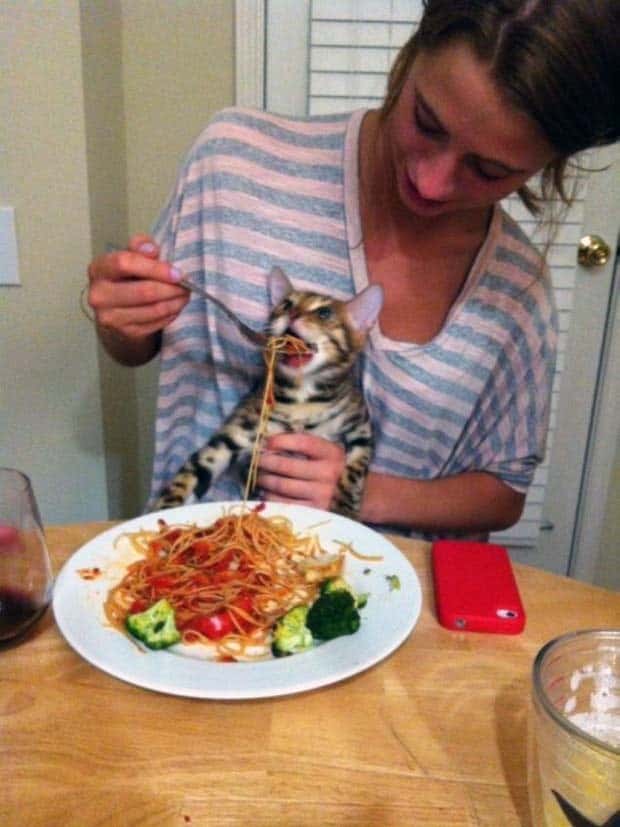 Klyker Picdump #1477 (42 photos)