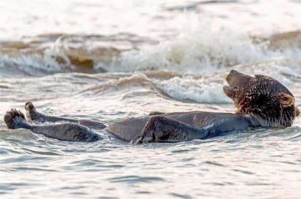 Klyker Picdump #1477 (42 photos)