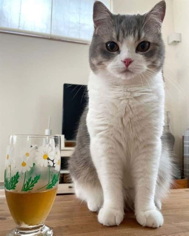 Klyker Picdump #1477 (42 photos)