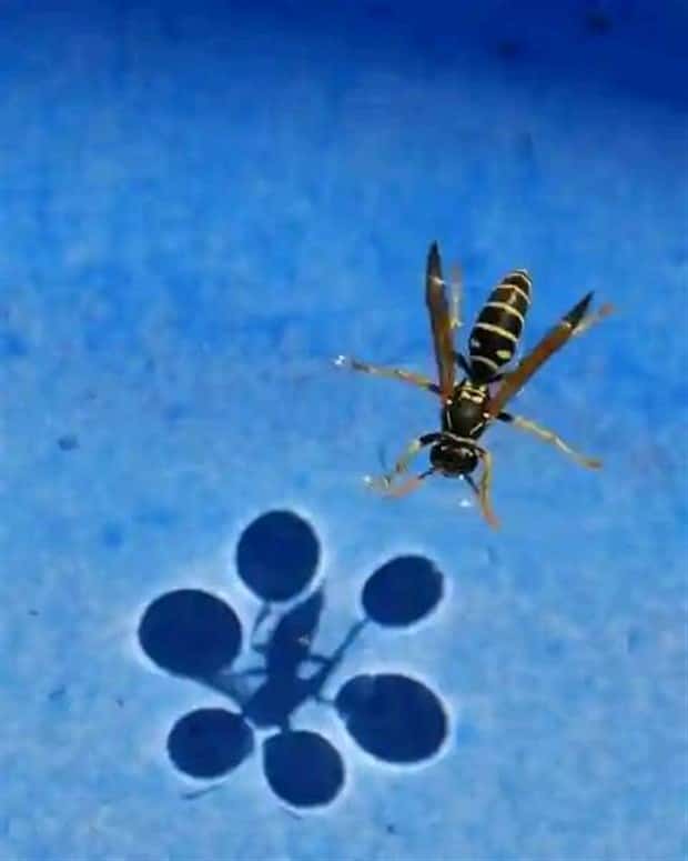 Klyker Picdump #1477 (42 photos)