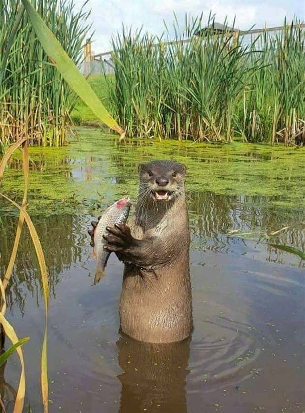 Klyker Picdump #1477 (42 photos)