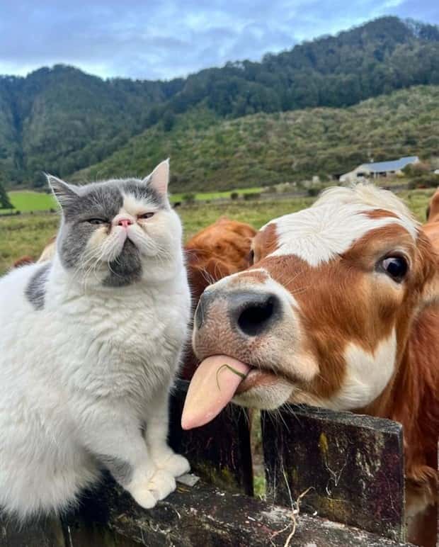 Klyker Picdump #1477 (42 photos)