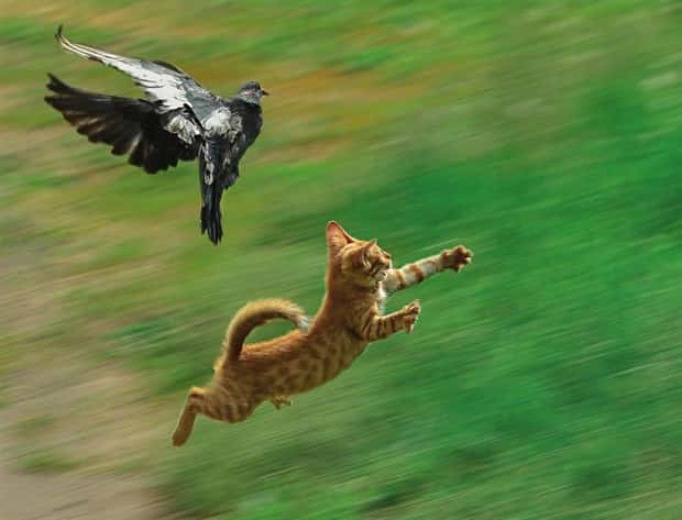 Klyker Picdump #1477 (42 photos)