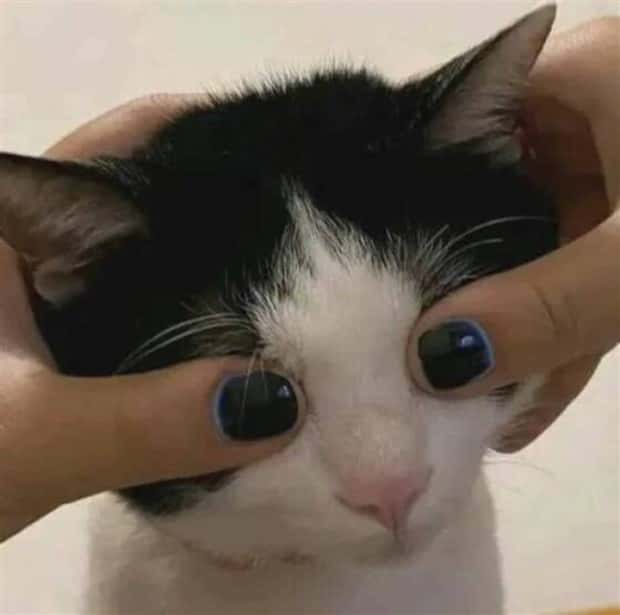 Klyker Picdump #1478 (43 photos)