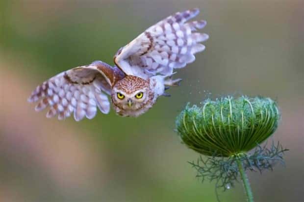 Klyker Picdump #1478 (43 photos)