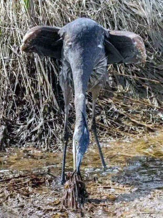 Klyker Picdump #1478 (43 photos)