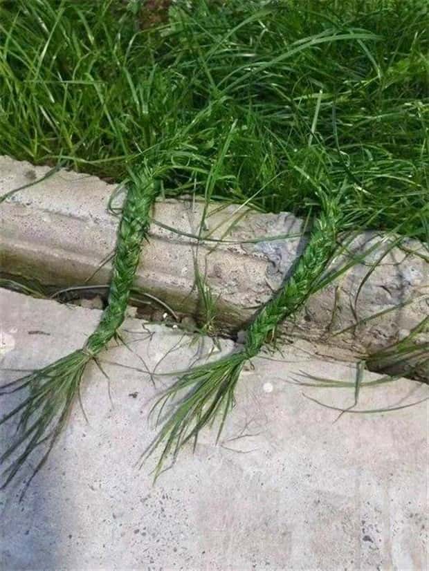 Klyker Picdump #1480 (45 photos)