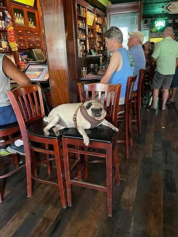 Klyker Picdump #1480 (45 photos)