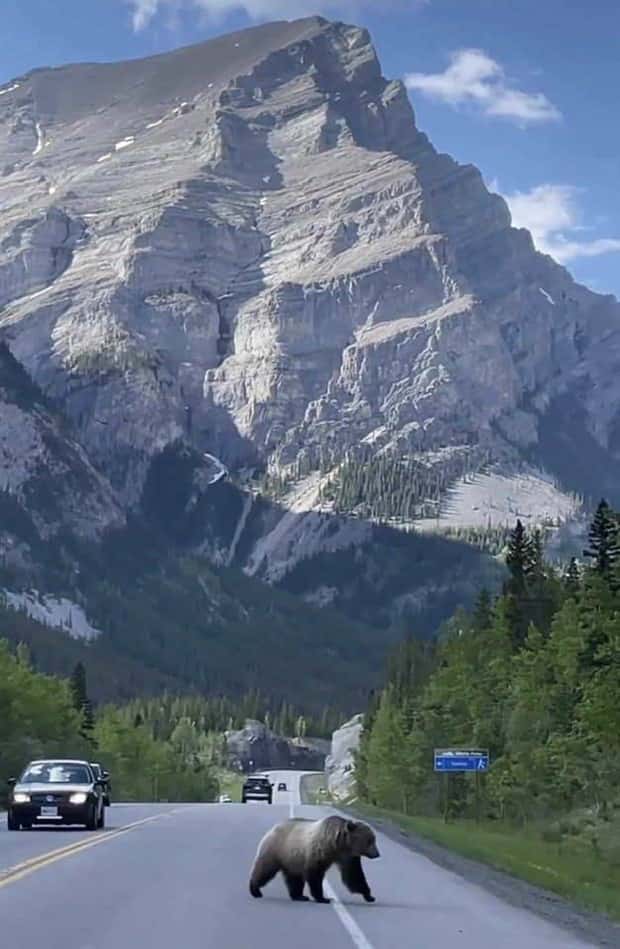 Klyker Picdump #1480 (45 photos)