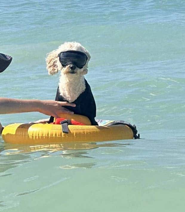 Klyker Picdump #1480 (45 photos)