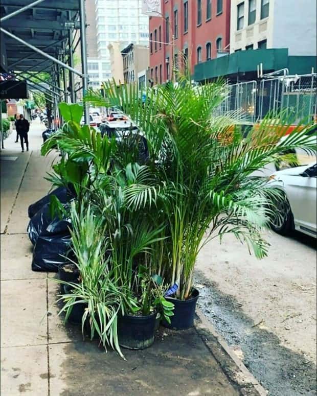 new york street treasure 18 Hidden Treasures of New York Streets (38 photos)