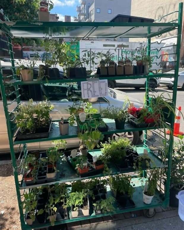 new york street treasure 7 Hidden Treasures of New York Streets (38 photos)