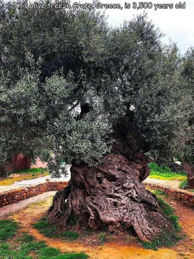 pics with captions 14 Interesting Pictures with Captions #106 (30 photos)