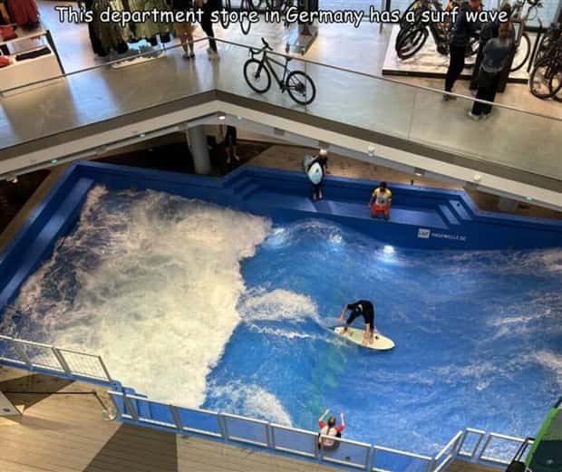 pics with captions 18 Interesting Pictures with Captions #106 (30 photos)