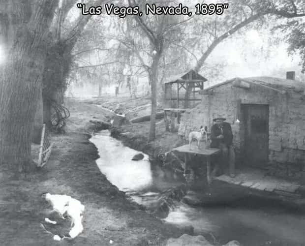 pics with captions 21 Interesting Pictures with Captions #106 (30 photos)