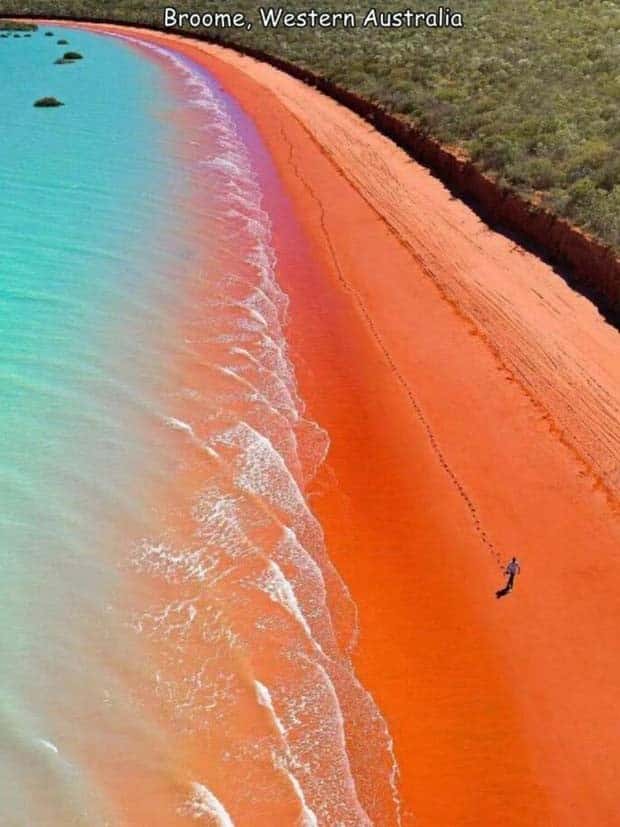 Interesting Pictures with Captions #109 (26 photos)