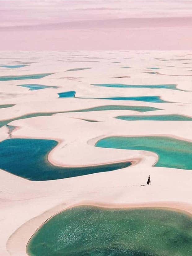 Images from the Magical World (26 photos)