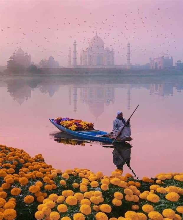 Images from the Magical World (26 photos)