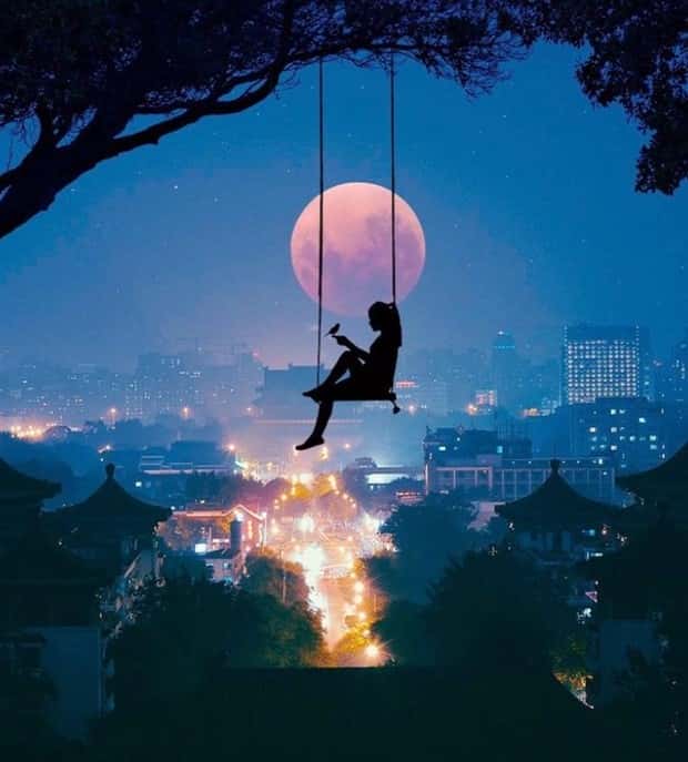 Images from the Magical World (26 photos)