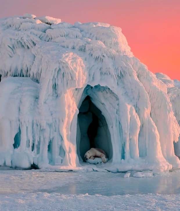 Images from the Magical World (26 photos)