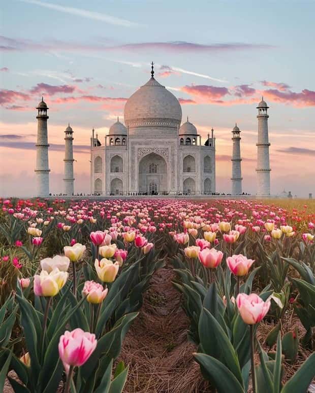 Images from the Magical World (26 photos)