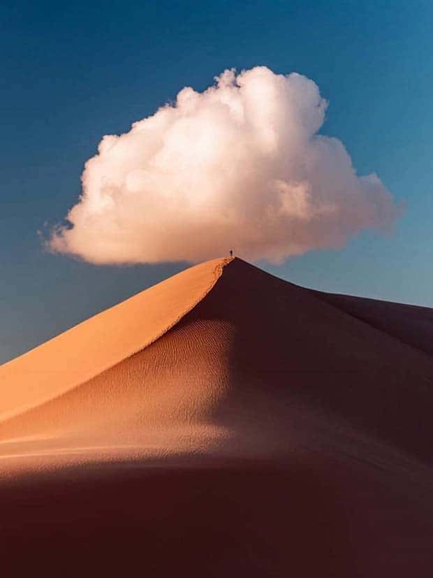 Images from the Magical World (26 photos)