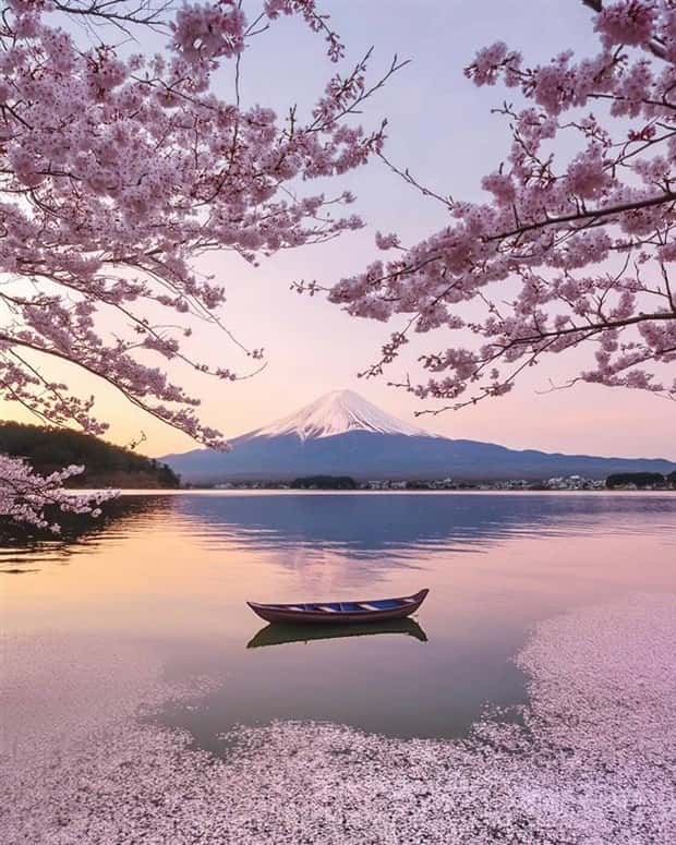 Images from the Magical World (26 photos)